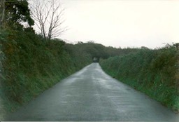 Country Lane